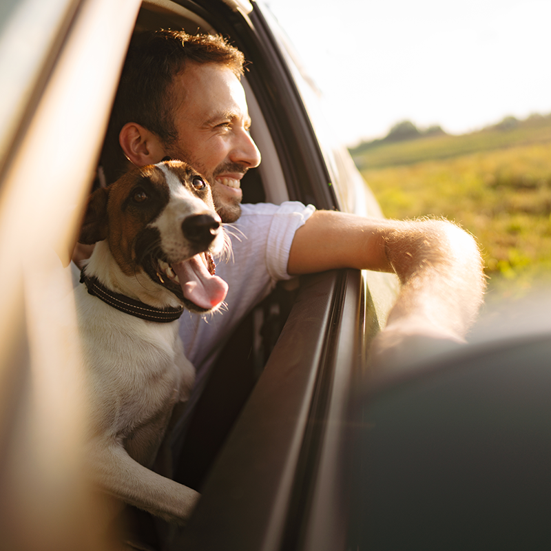 A man and dog hanging out the window of a car