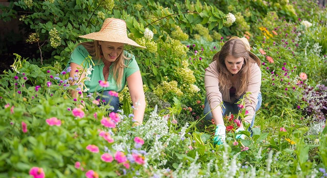 Two women picking flowers in a garden